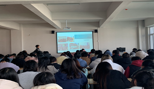 /images/2020-11-12/c91dc1d090175fd989596fbf30e1e740.png image.png